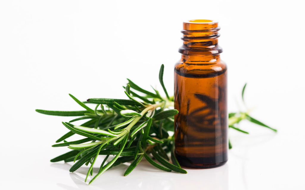 Rosemary Oil: Benefits, Uses, Side Effects, and More